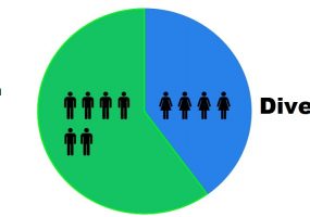 IT Industry, Data Teams diversity, IT diversity and inclusion