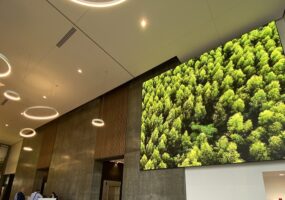 Sharp NEC videowall displaying forests on the screen in the Avison Young building lobby.