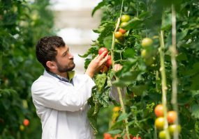 smart farming